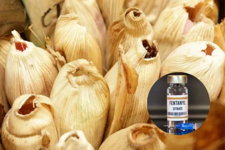 Gobierno federal investigará cómo se contaminaron tamales con fentanilo en Puebla 1 Sheinbaum pide investigar tamales con fentanilo en Puebla