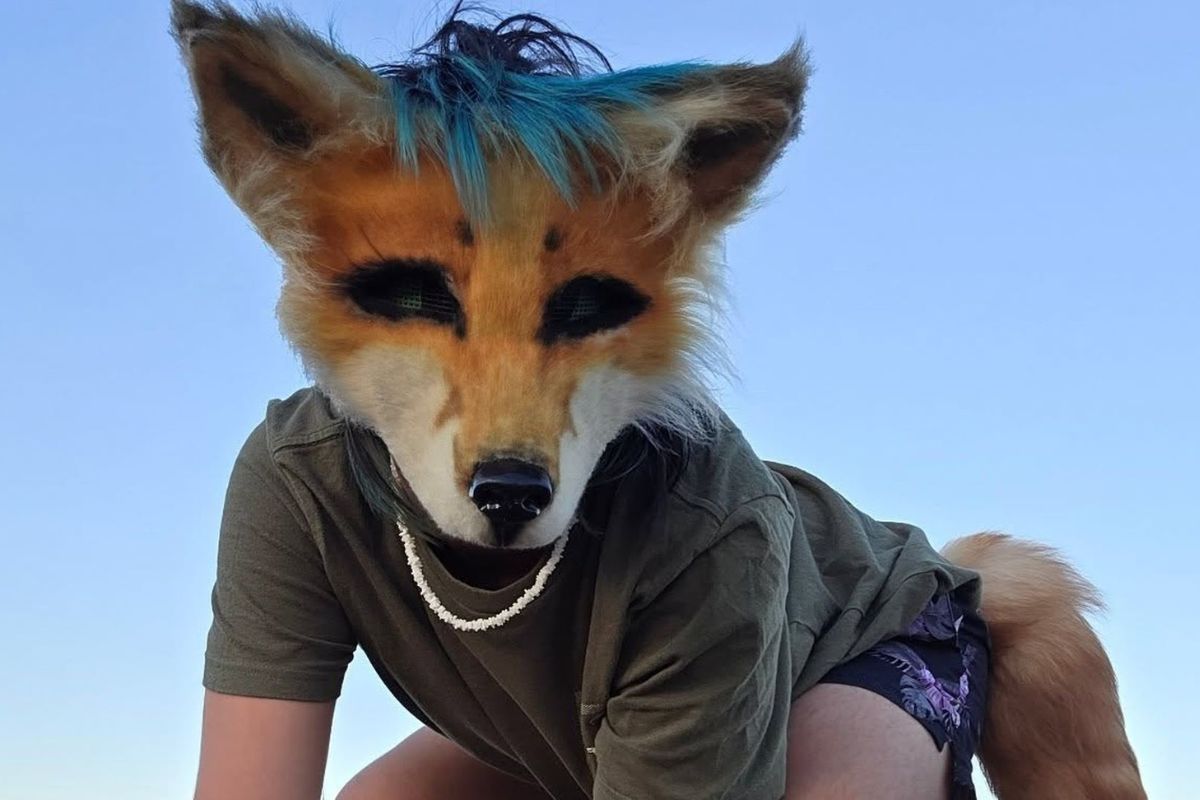 Diputado de Morena asegura que los therians tienen traumas