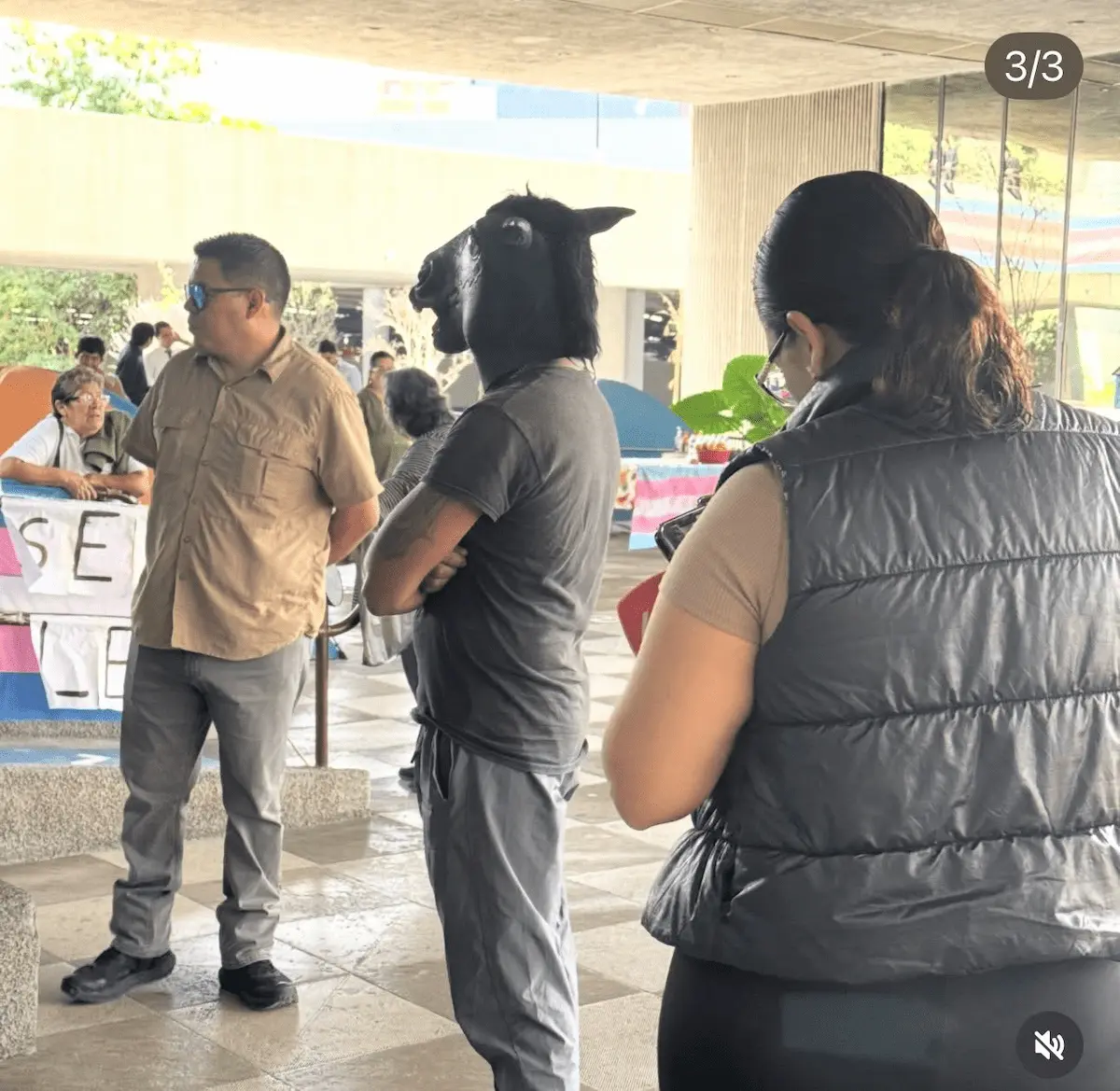 Proponen Ley Therian en Nuevo León