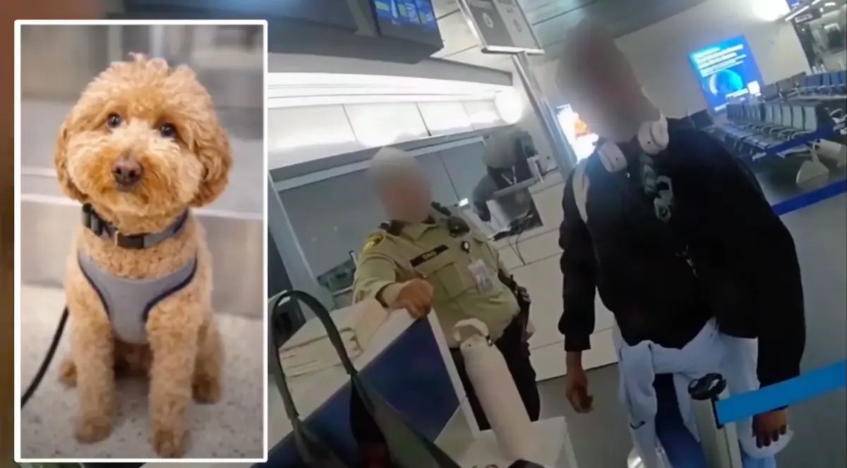 Mujer abandona a su perro en el aeropuerto para no perder su vuelo y la detienen