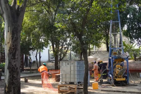 No talarán árboles en Puebla para la construcción del Cablebús, aclara gobierno estatal 1 No talarán árboles en Puebla por construcción de Cablebús