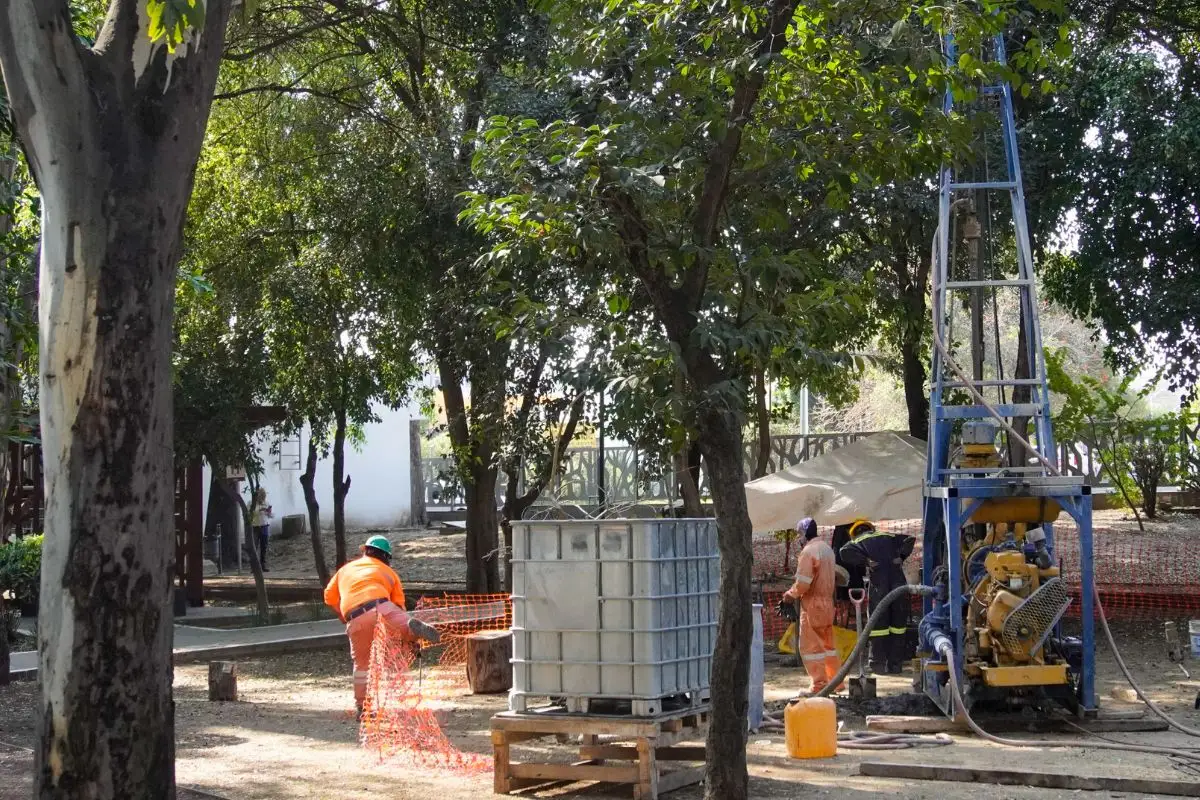 No talarán árboles en Puebla por construcción de Cablebús