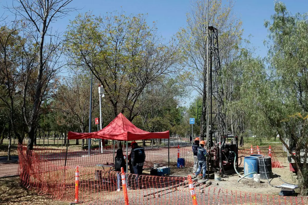 No talarán árboles en Puebla por construcción de Cablebús