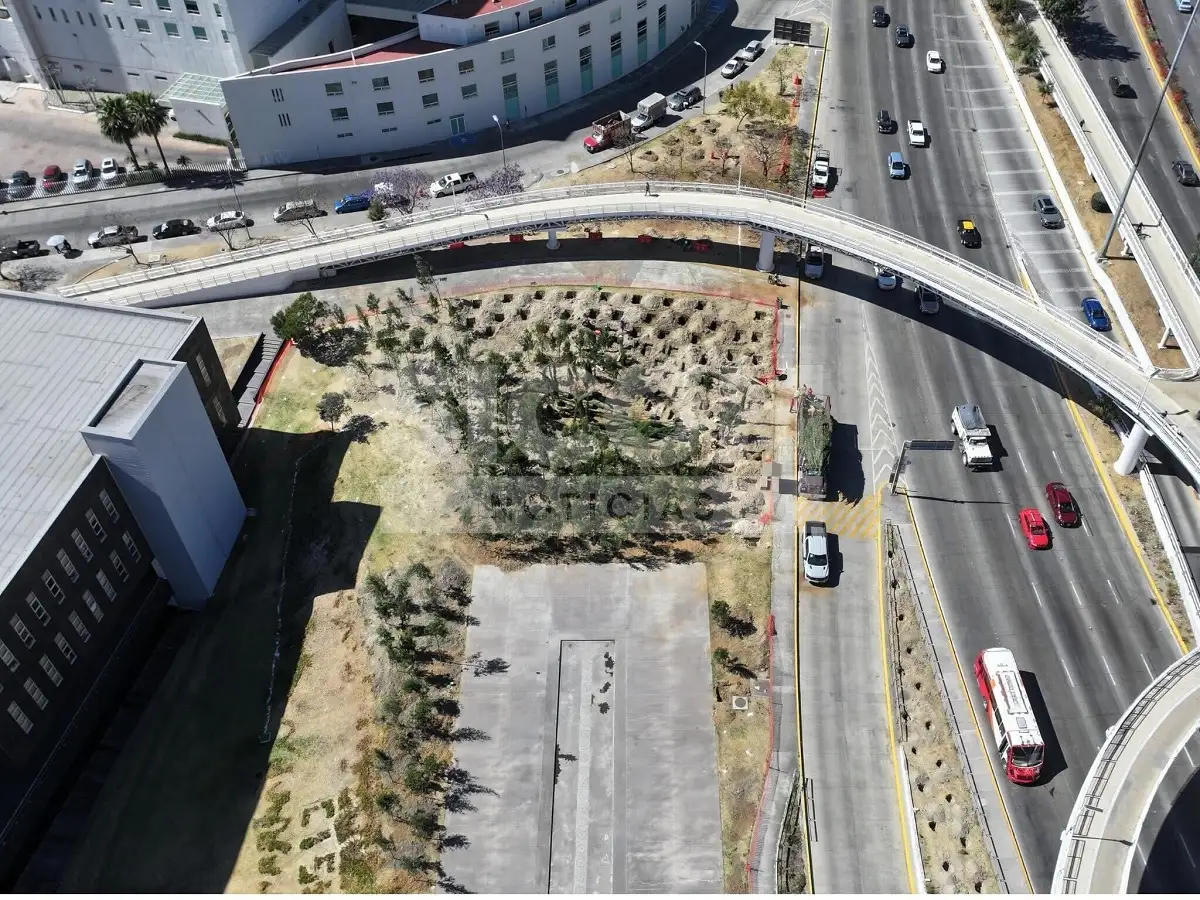 Plantan árboles en el CIS por construcción del Cablebús