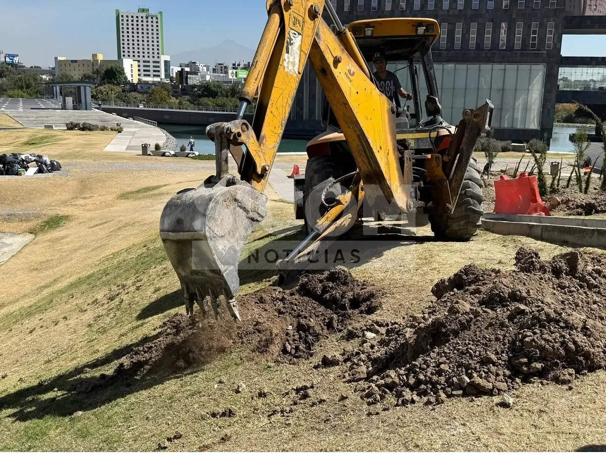 Plantan árboles en el CIS por construcción del Cablebús