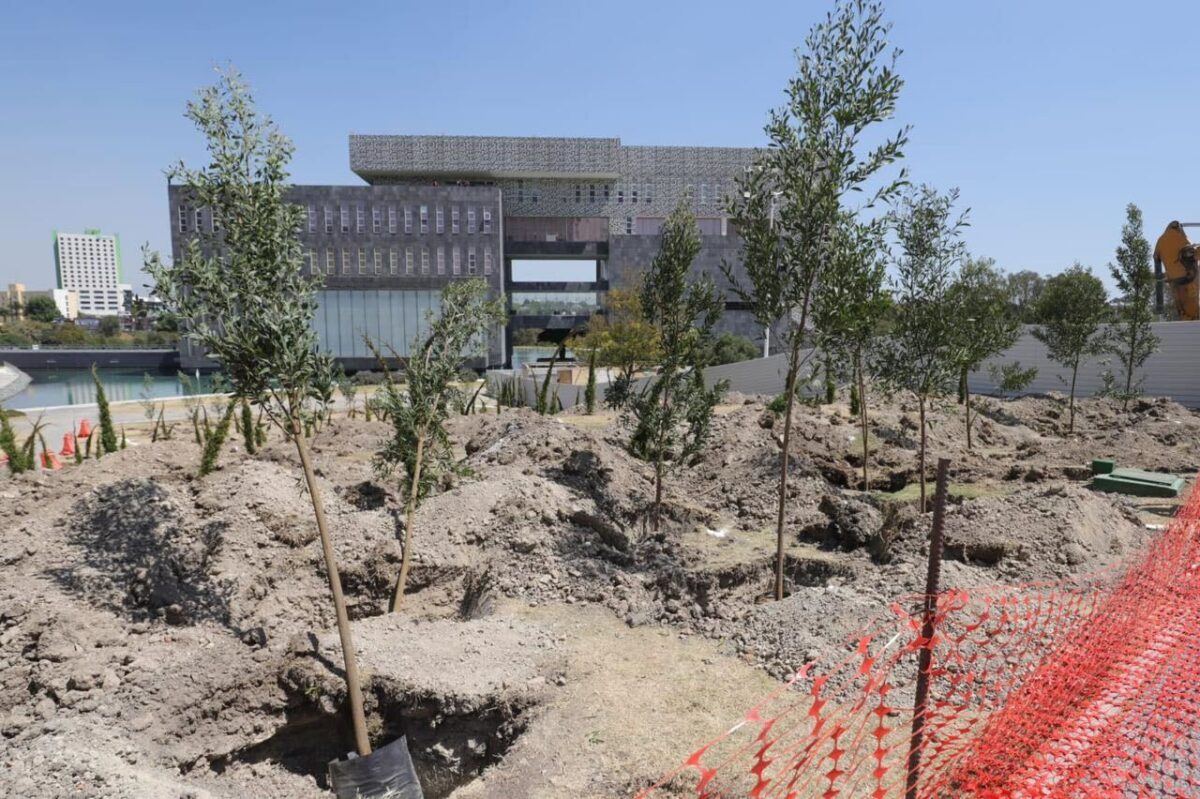 Inician plantación de 10 mil árboles en Puebla en estos puntos