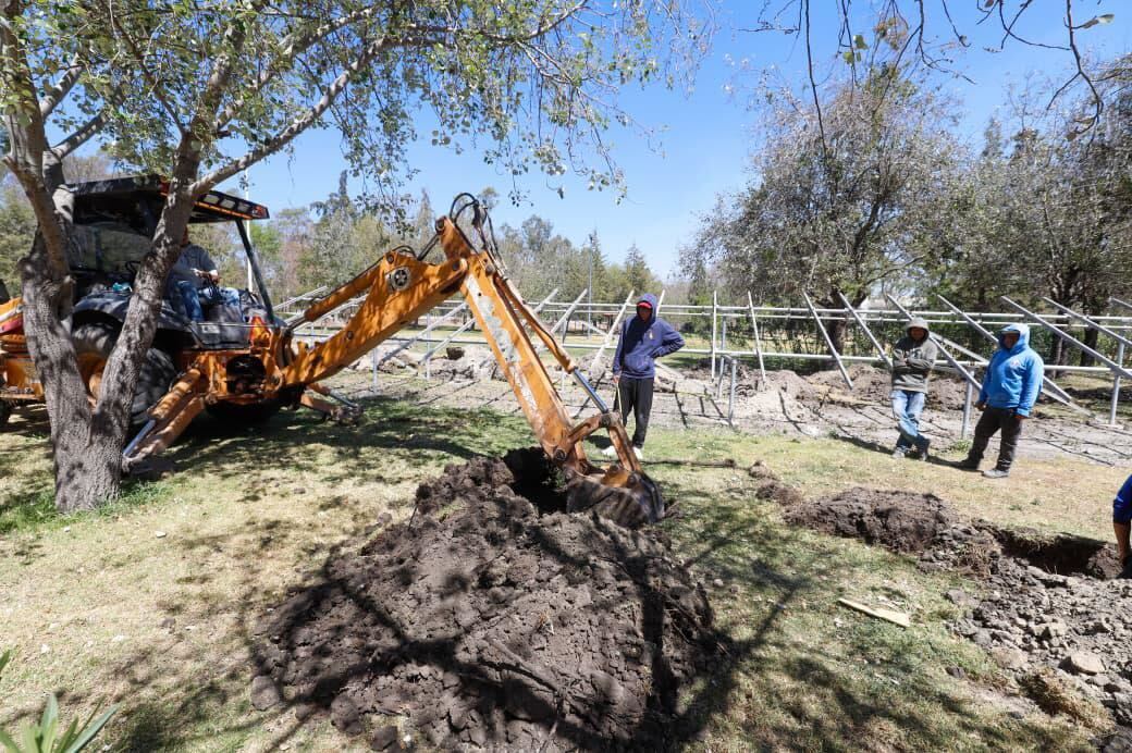 Inician plantación de 10 mil árboles en Puebla en estos puntos