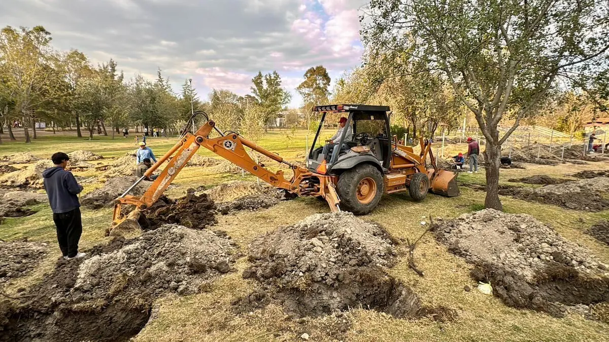 Inician plantación de 10 mil árboles en Puebla en estos puntos
