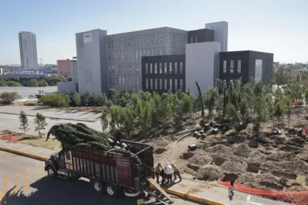 Inician plantación de 10 mil árboles en Puebla en estos puntos