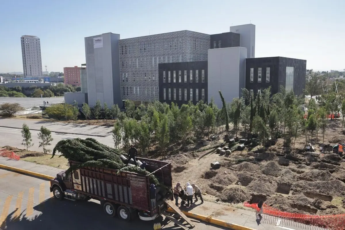 Inician plantación de 10 mil árboles en Puebla en estos puntos 2 Inician plantación de 10 mil árboles en Puebla en estos puntos