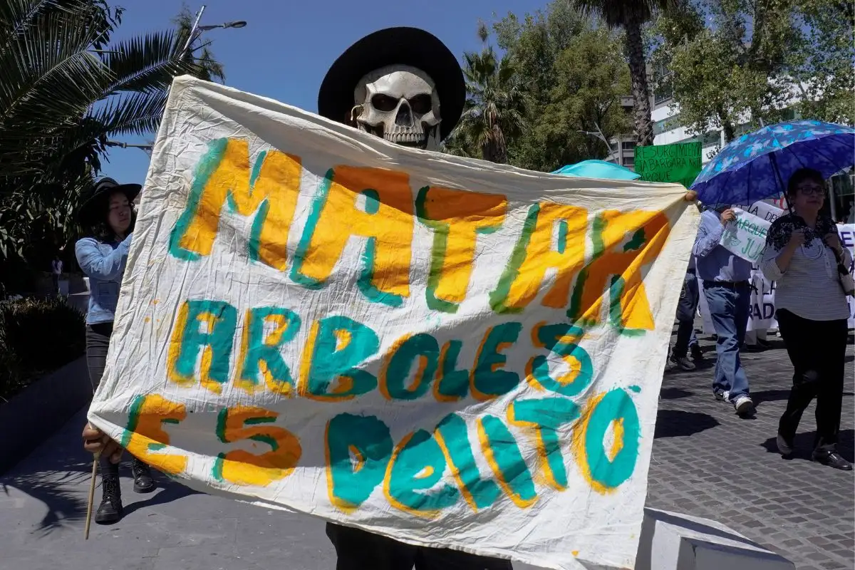 Congreso analizará foros con ambientalistas sobre el Cablebús