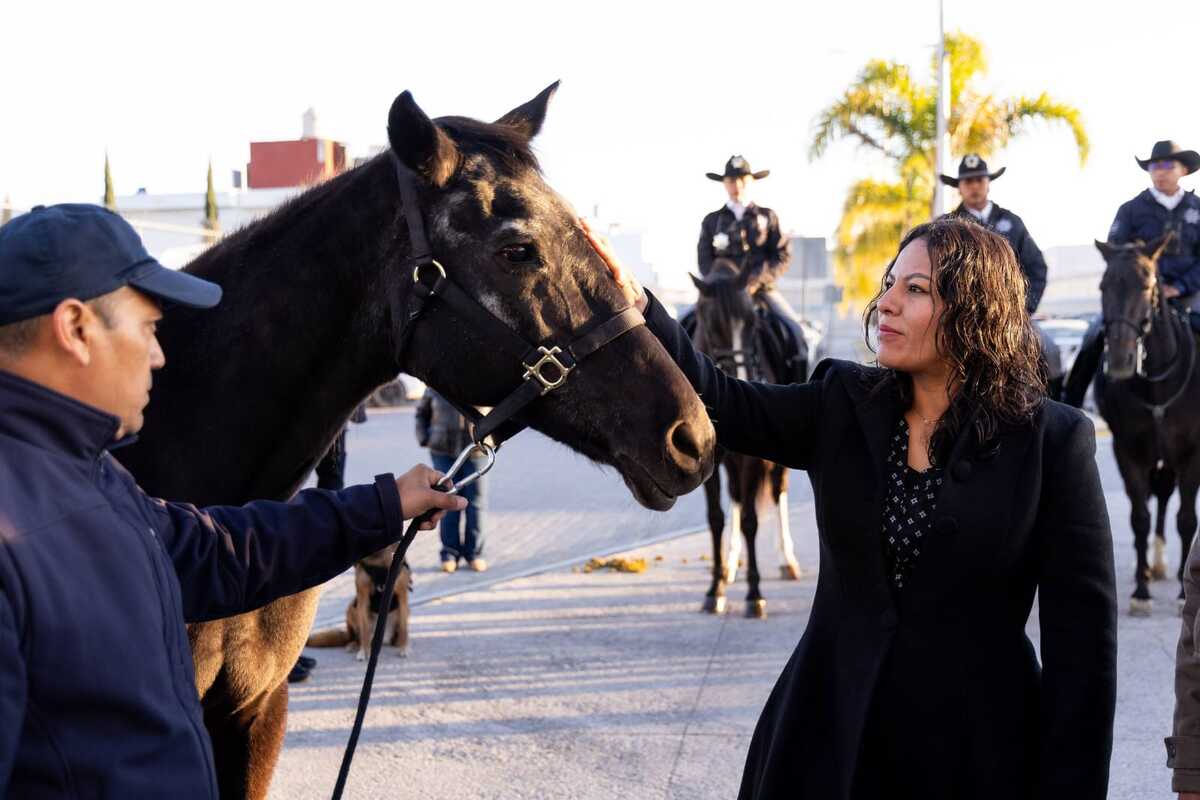 En Ceremonia Lupita Cuautle retira ejemplares de la Policía Montada y Unidad Canina
