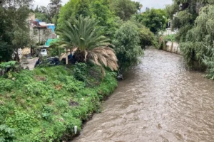 Gobierno de Puebla invita a ambientalistas para que participen en proyectos
