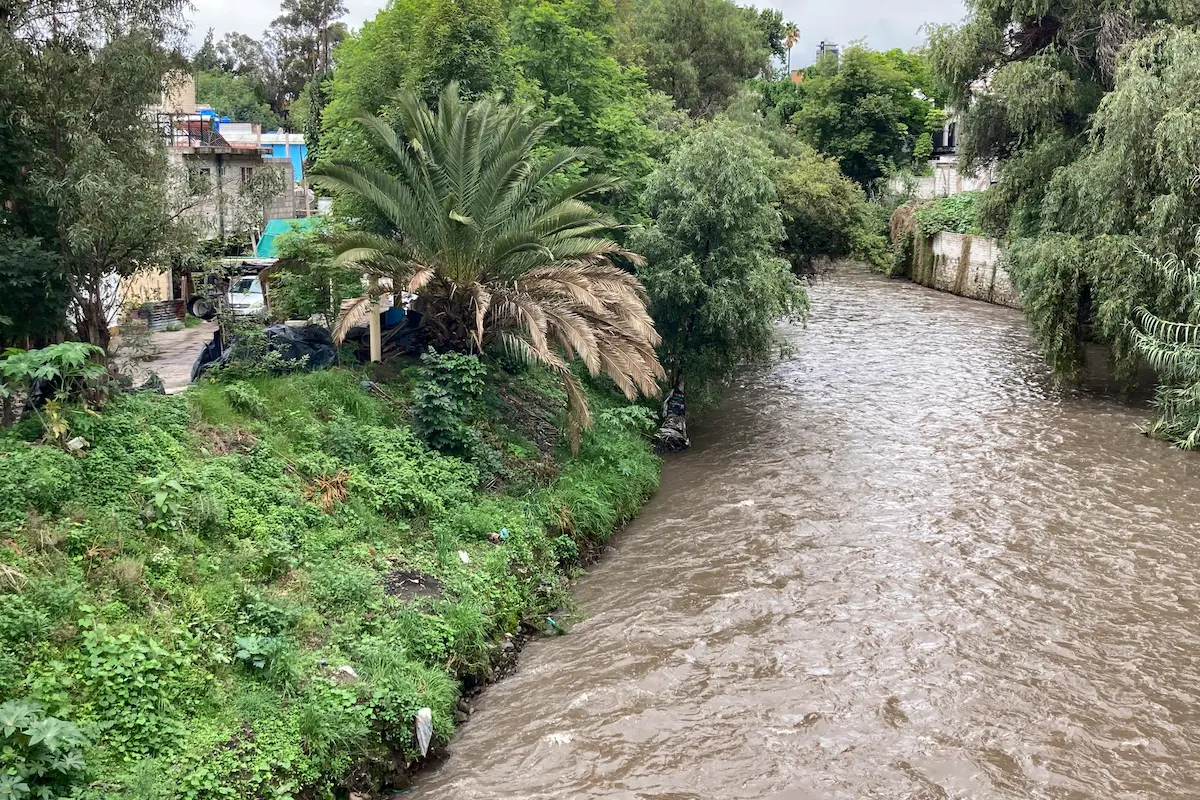 Gobierno de Puebla invita a ambientalistas para que participen en proyectos