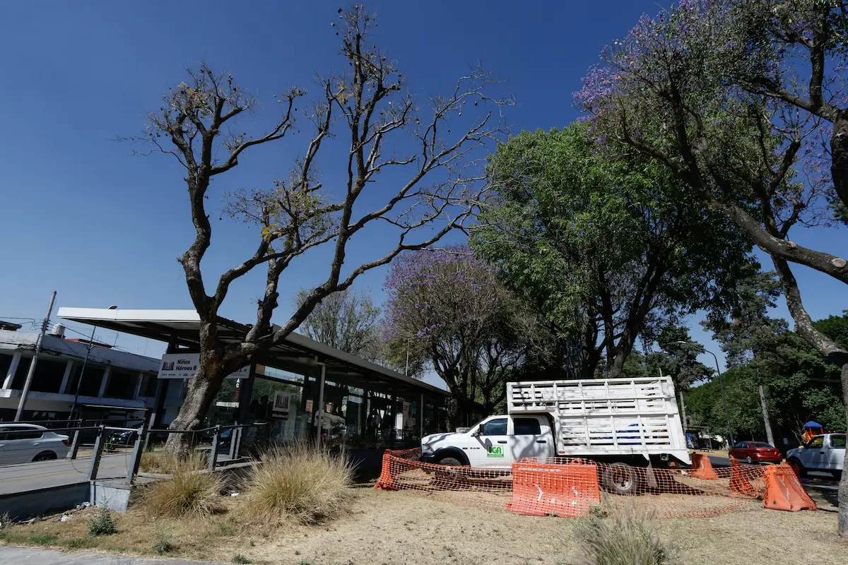 Gobierno de Puebla invita a ambientalistas para que participen en proyectos