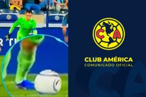 . Déjalo vacío si la imagen es puramente decorativa.