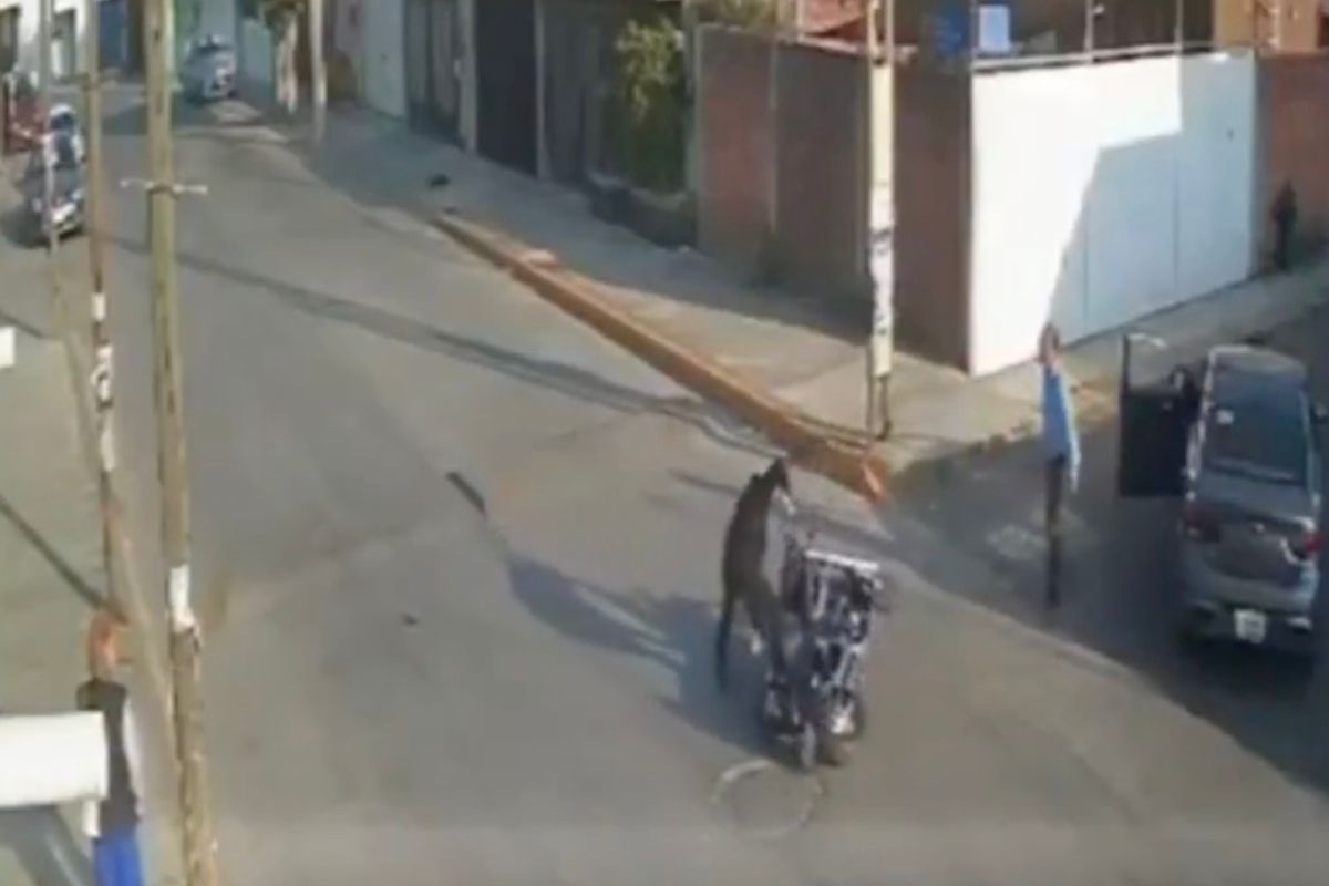 Captan pelea en Cuautlancingo; motociclista rompe parabrisas y conductor golpea su moto (VIDEO)