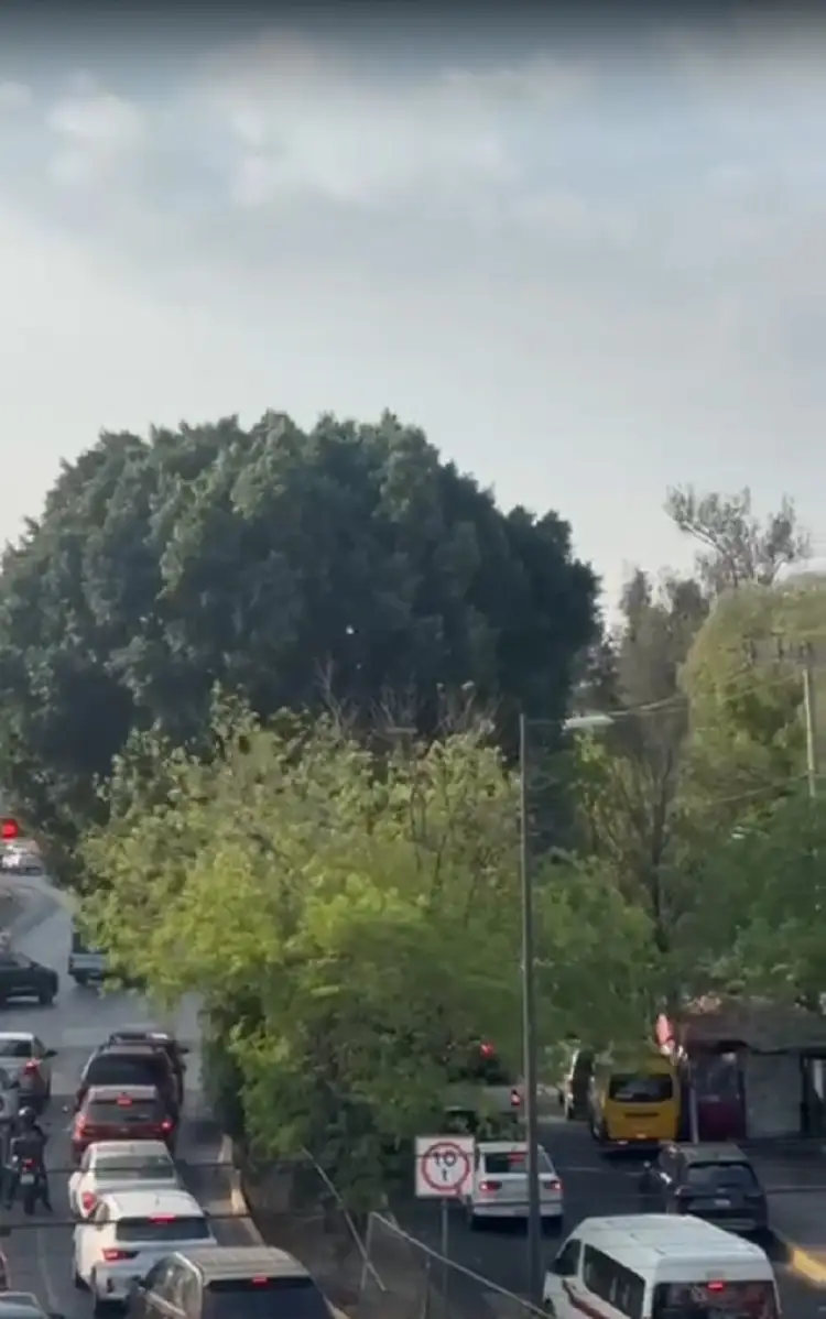 Por fuerte viento en Puebla hoy, gobierno hace estas recomendaciones