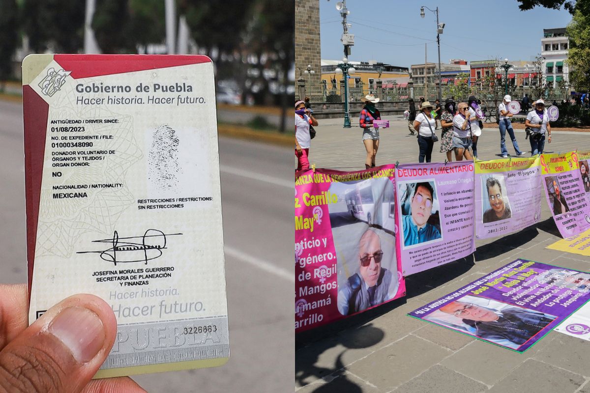 PAN propone exigir certificado de no deudor alimentario para tramitar licencia, pasaporte y ser candidato