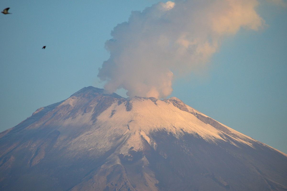 Este es el monitoreo del volcán Popocatépetl hoy en Puebla