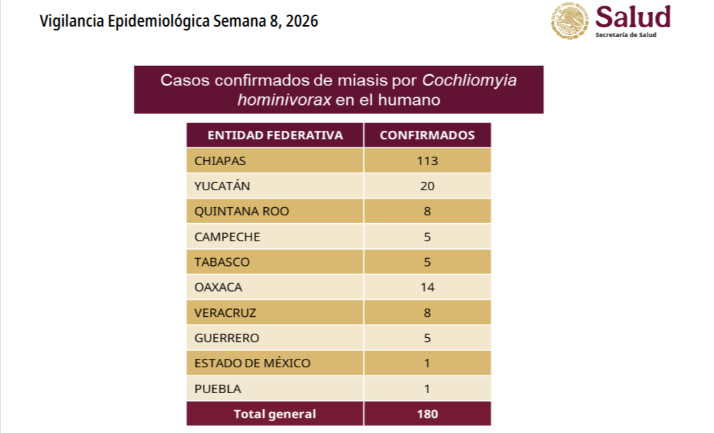 Reportan primer caso humano de miasis por gusano barrenador en Puebla 3 Reportan primer caso de miasis por gusano barrenador en Puebla