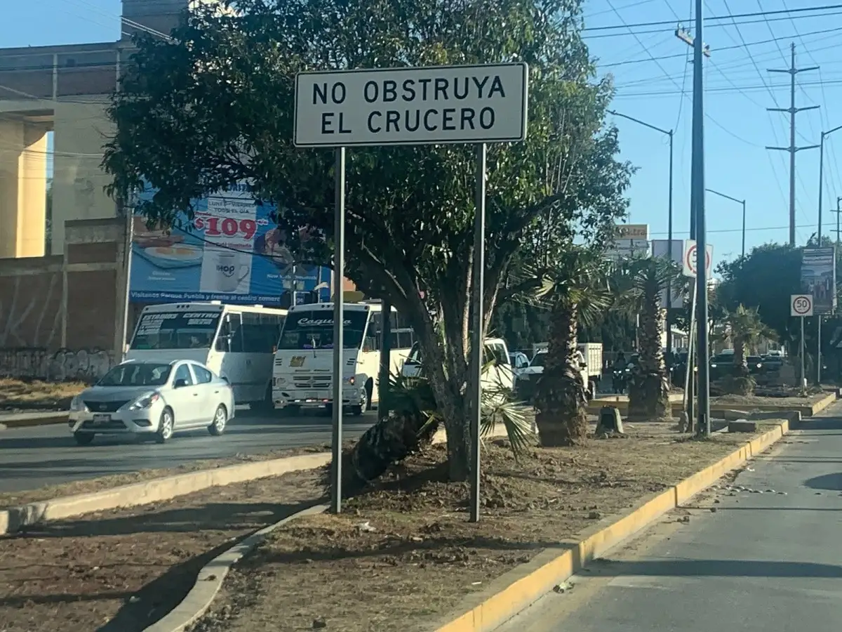 Derriban árboles en Calzada Zaragoza: gobierno de Puebla descarta que sean sus trabajadores 2 ¿Por qué derribaron árboles en la Calzada Zaragoza de Puebla?
