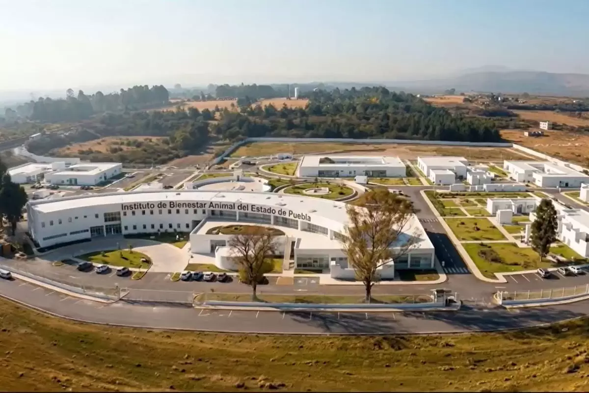 Así se verán los proyectos del DIF de Puebla este 2026