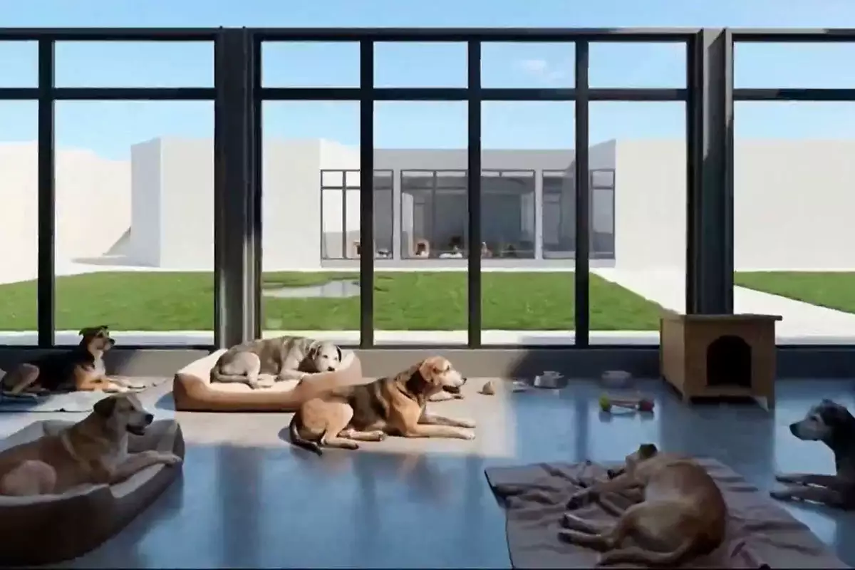 DIF instituto del bienestar animal 2