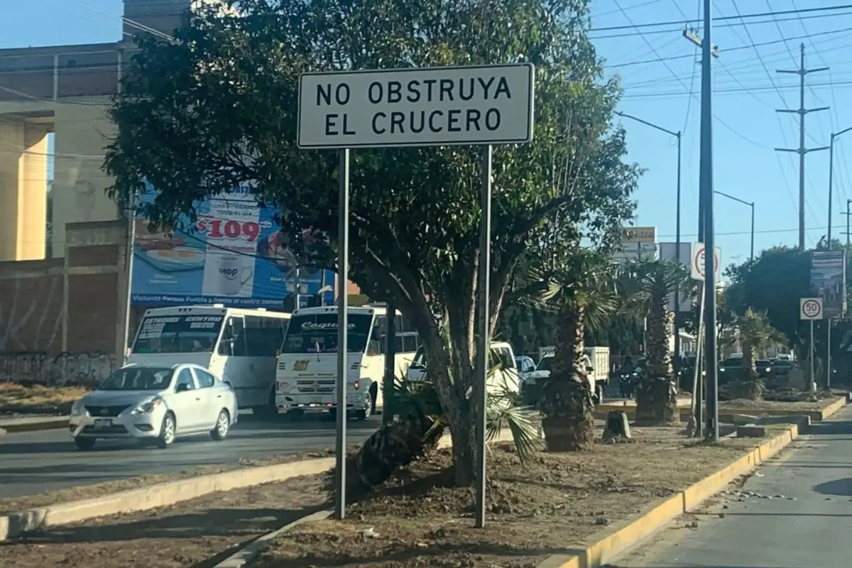 Investigan a encapuchados que talaron árboles en la Calzada Zaragoza