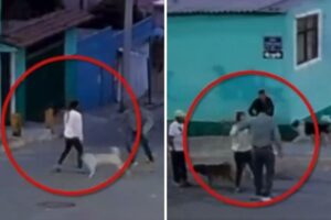 Agreden a mujer por defender perros en San Jerónimo Caleras