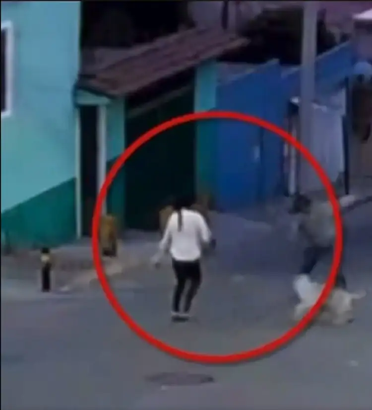 Agreden a mujer por defender perros en San Jerónimo Caleras 