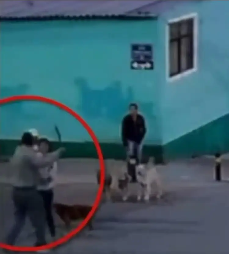 Armenta pide investigar a sujeto que macheteó a mujer en San Jerónimo Caleras