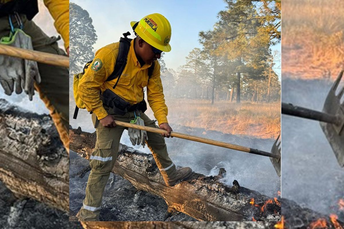 Cárcel y multas de 500 mp, las sanciones a quien provoque incendios forestales en Puebla