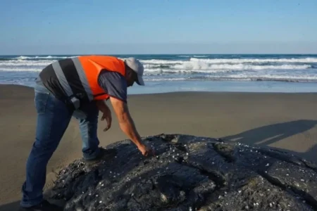 Derrame de petróleo en Golfo de México afecta 650 km de costa