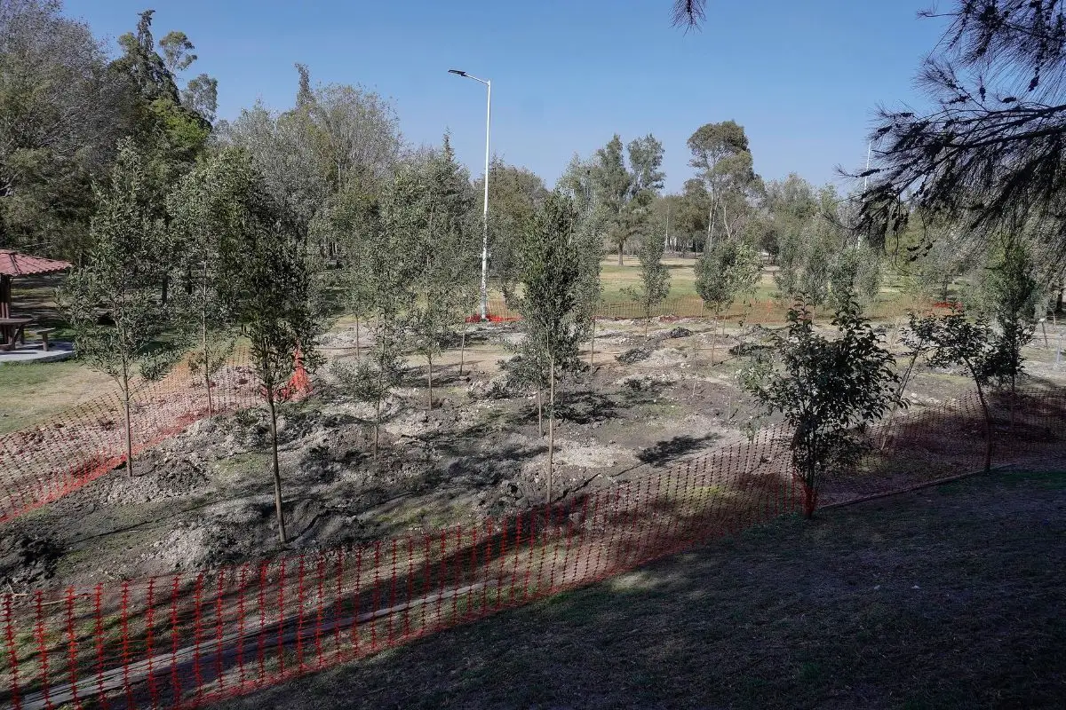 ¿Está suspendida la construcción del Cablebús de Puebla?