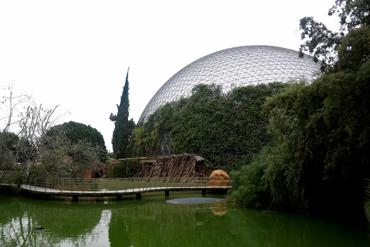 Arboterra ofrece descuentos para estudiantes BUAP: En abril habrá actividades conjuntas 2 Arboterra ofrece descuentos para estudiantes BUAP: En abril habrá actividades conjuntas