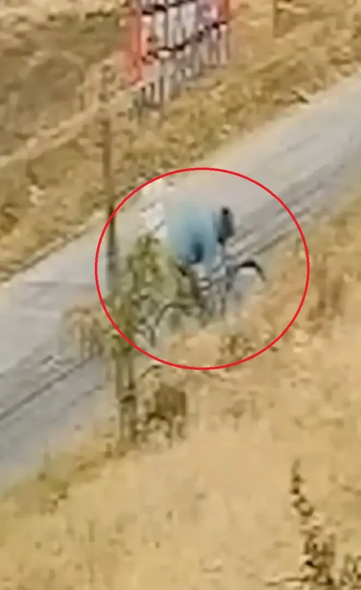 Captan a sujeto que inició incendio en Cuautlancingo