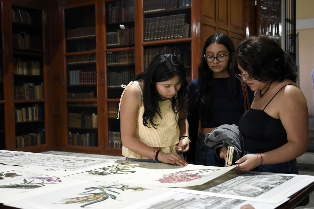 FENALI 39 actividades 2