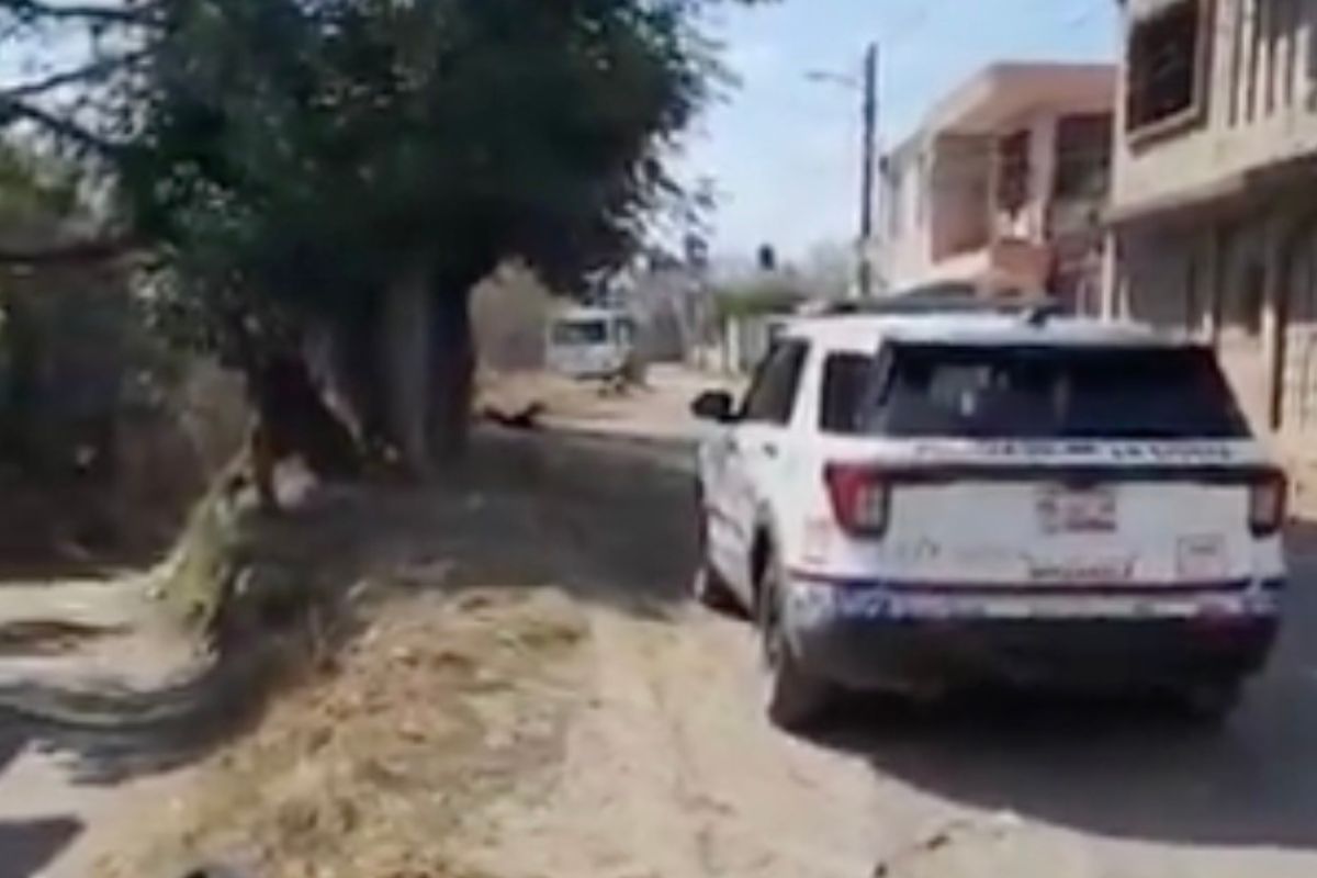 Localizan dos cuerpos en camino que conecta Xonacatepec con La Resurrección