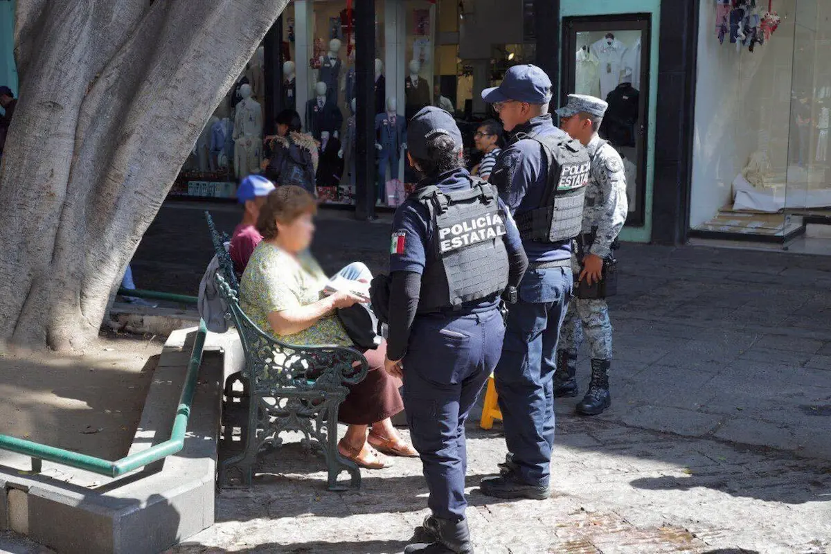 SSP encabezará jornada ciudadana en Tehuacán: habrá asesorías, solicitudes y más 2 SSP encabezará jornada ciudadana en Tehuacán