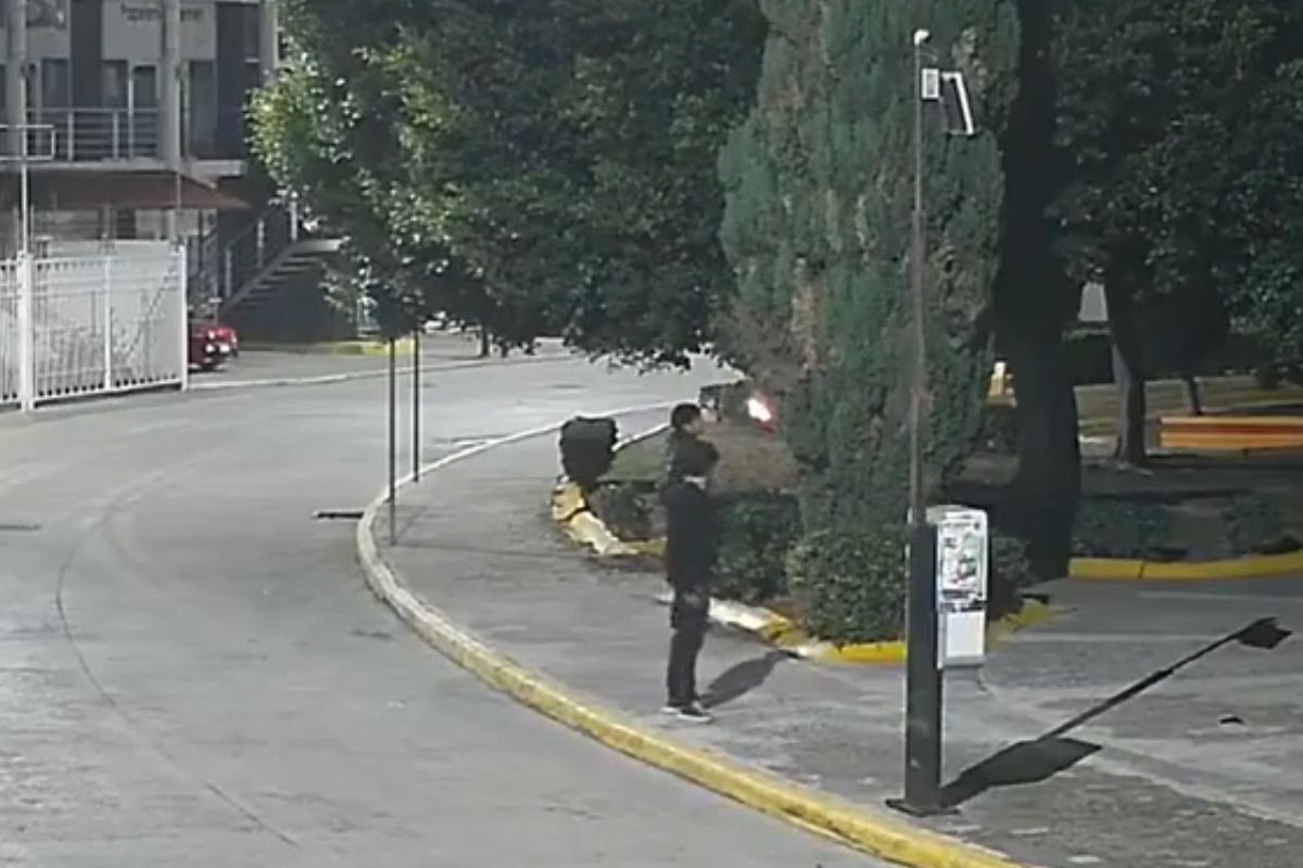 Jóvenes queman árbol en fraccionamiento Los Héroes de Puebla