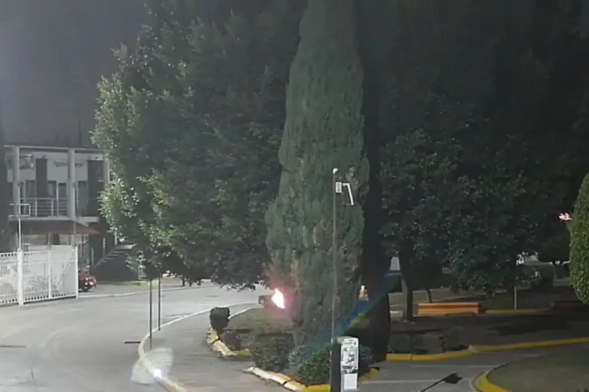 Jóvenes queman árbol en fraccionamiento Los Héroes de Puebla