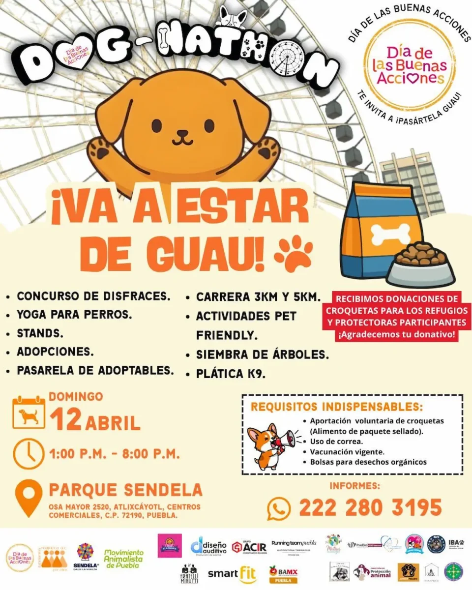 Dognathon 2026 en Puebla
