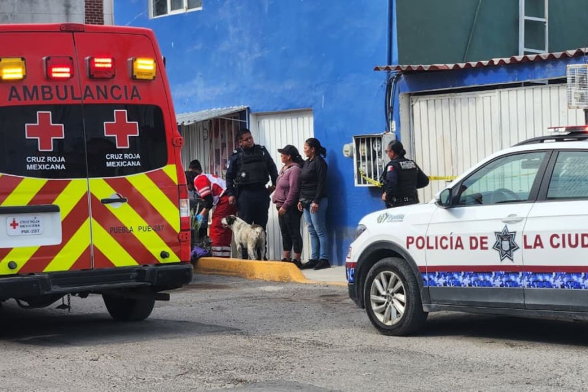 Matan a un hombre a golpes en Tres Cruces; investigan posible agresión familiar 2 Matan a un hombre a golpes en Tres Cruces; investigan posible agresión familiar