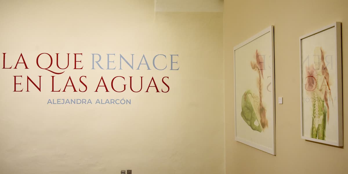 exposición Alejandra Alarcón