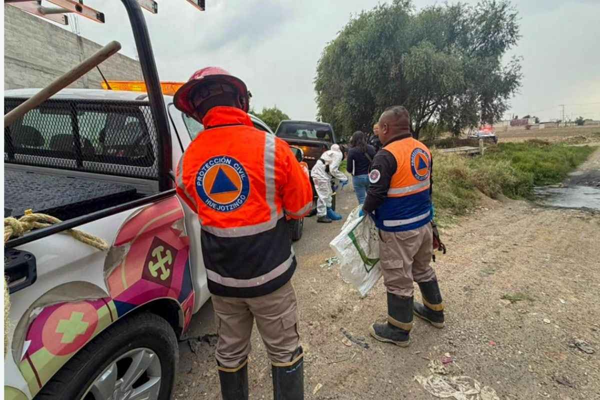 El gobierno de Huejotzingo condena la crueldad animal y llama a fortalecer el respeto a la vida de los seres sintientes.