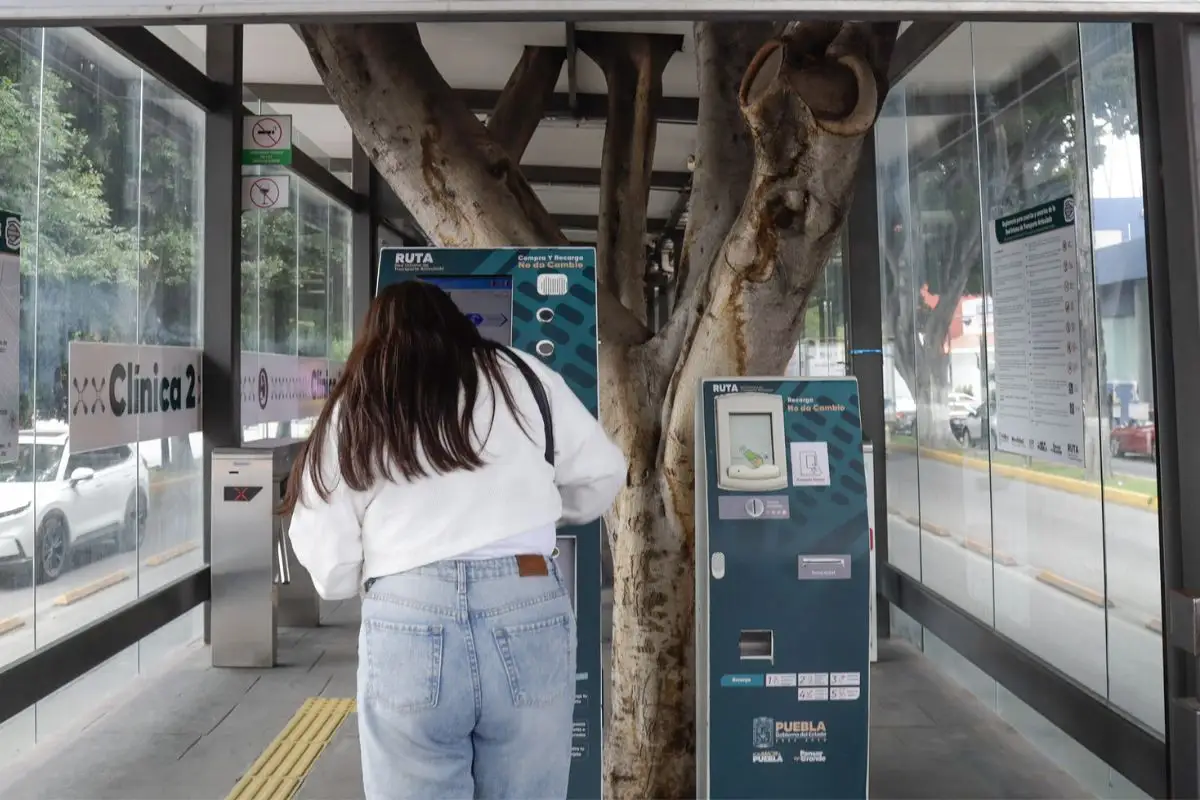 Tarjeta será compatible para el Cablebús y líneas de RUTA, confirma gobierno