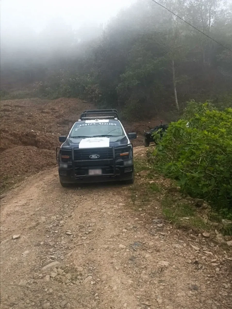 plantíos de amapola y marihuana en Zoquitlán y Atlixco