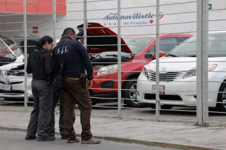 Policía cibernética de Puebla eliminó páginas fraudulentas de venta de autos 