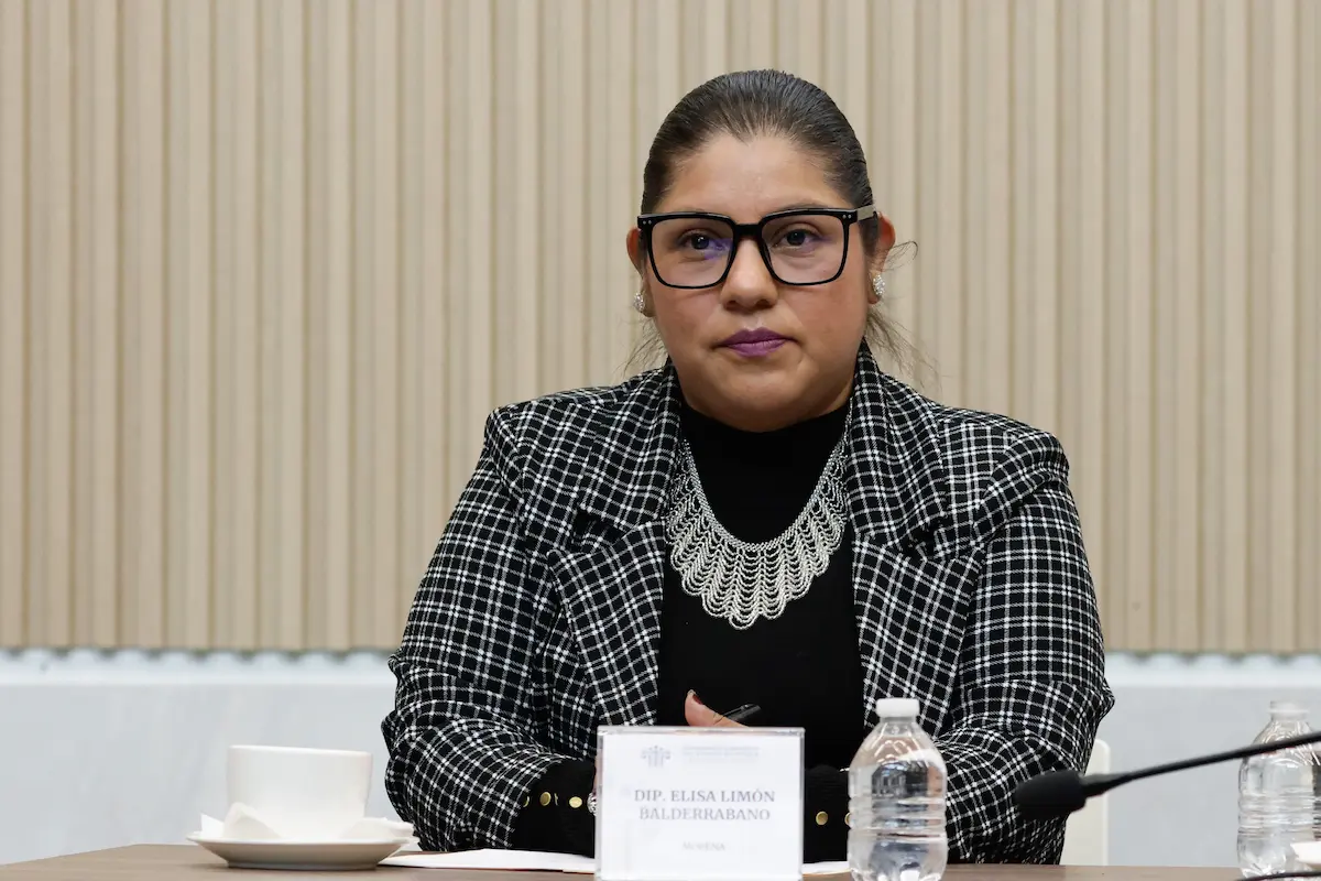 Agresores de animales en Puebla pagarán el veterinario y no podrán tener mascotas, propone Morena en el Congreso